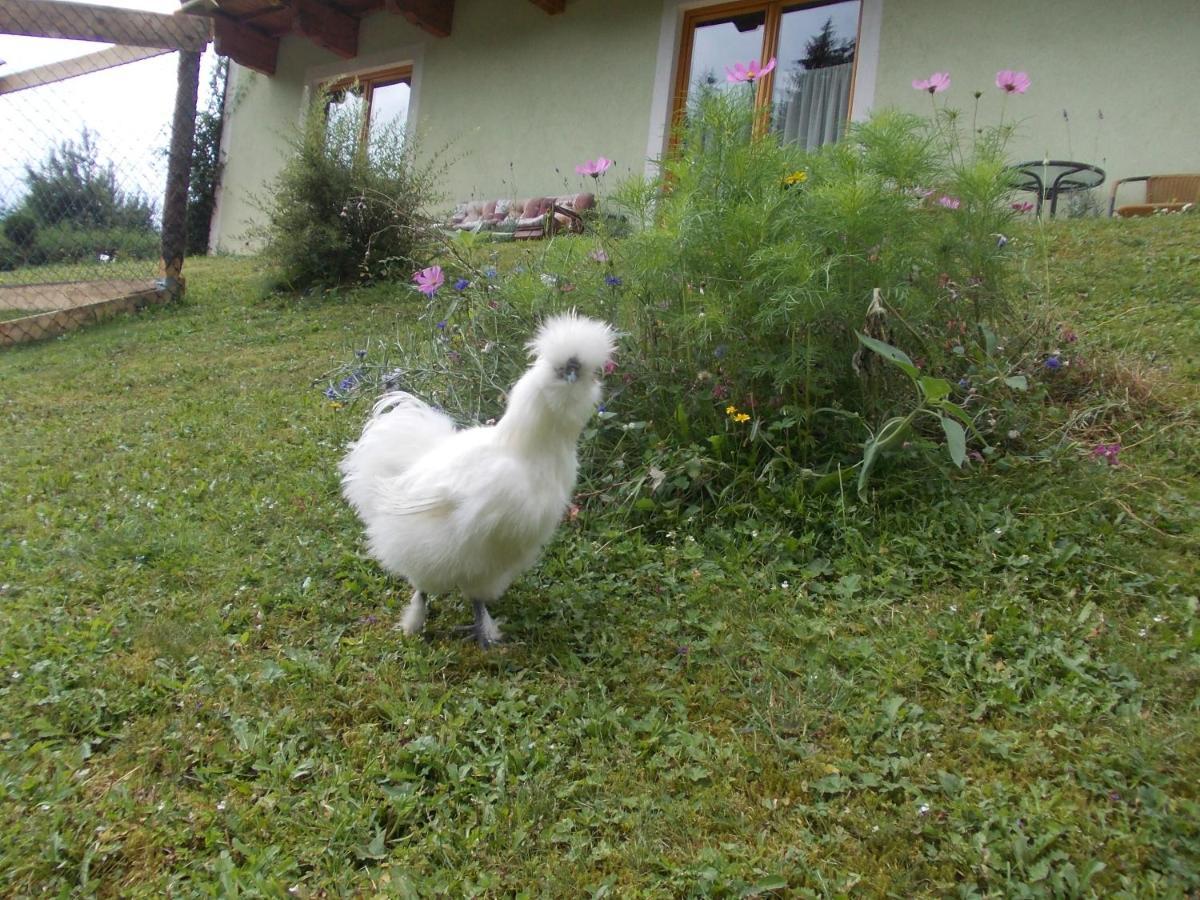 Appartement Heidi By Schladmingurlaub ラムサウ・アム・ダッハシュタイン エクステリア 写真